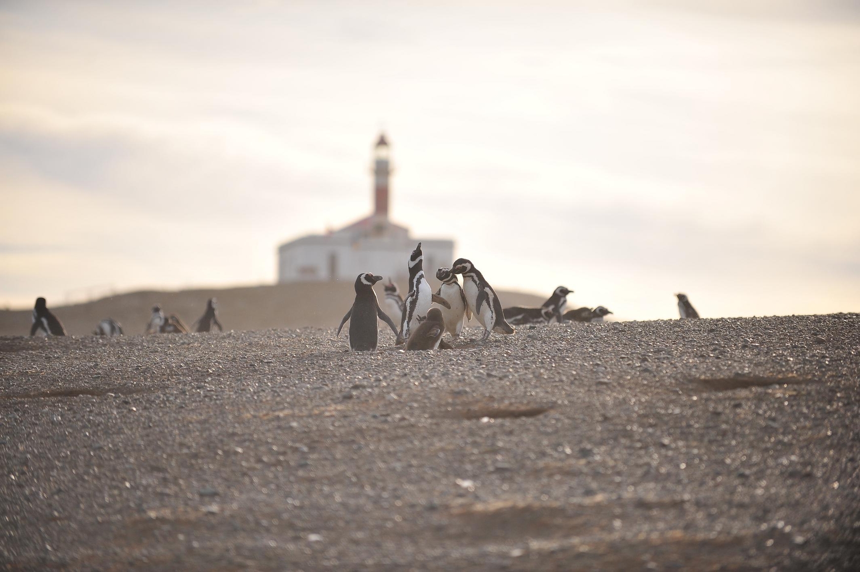 Antarctique – 2011