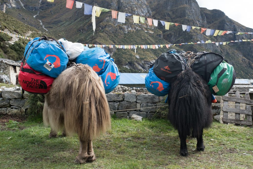 NEPAL 2016