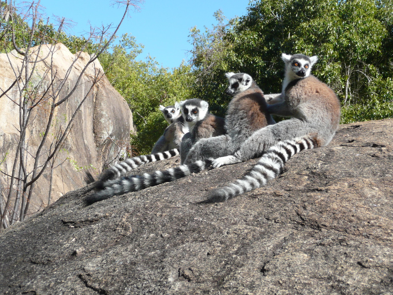 Madagascar, massif du Tsaranoro