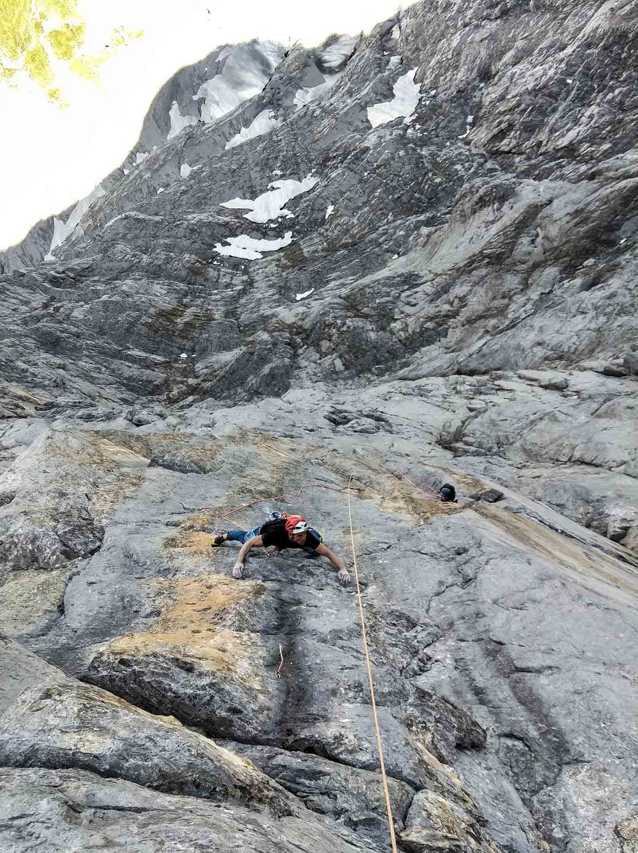 Alpine Mag: CHAMPIGNON MAGIQUE À L’OMBRE DE L’EIGER